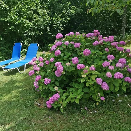 House Destina - Holiday home Bohinj