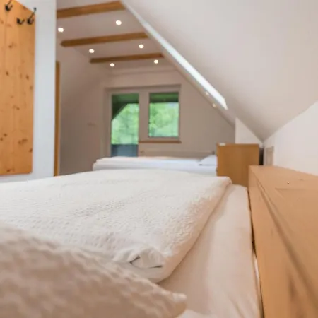 Prázdninový dům House Destina - Bohinj