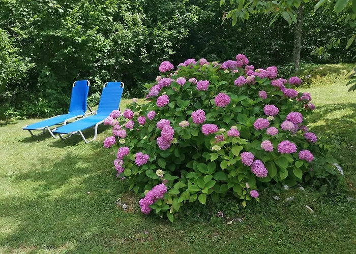 House Destina - Feriehus Bohinj